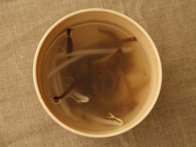 レシピ写真